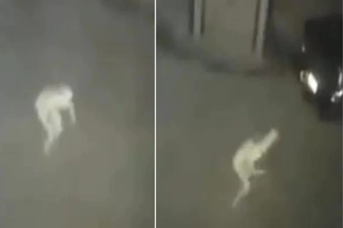 cctv captures ghostly pale figure