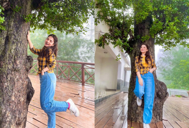 Dananeer Mobeen leaves fans stunned with alluring pictures