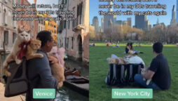 Viral: Video of a man travelling globe with three cats has captivated Internet