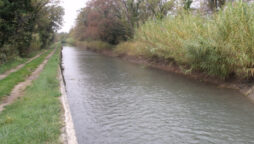 Three Friends Jumps in Canal