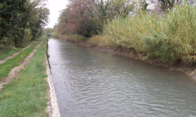 Three Friends Jumps in Canal to show their loyalty