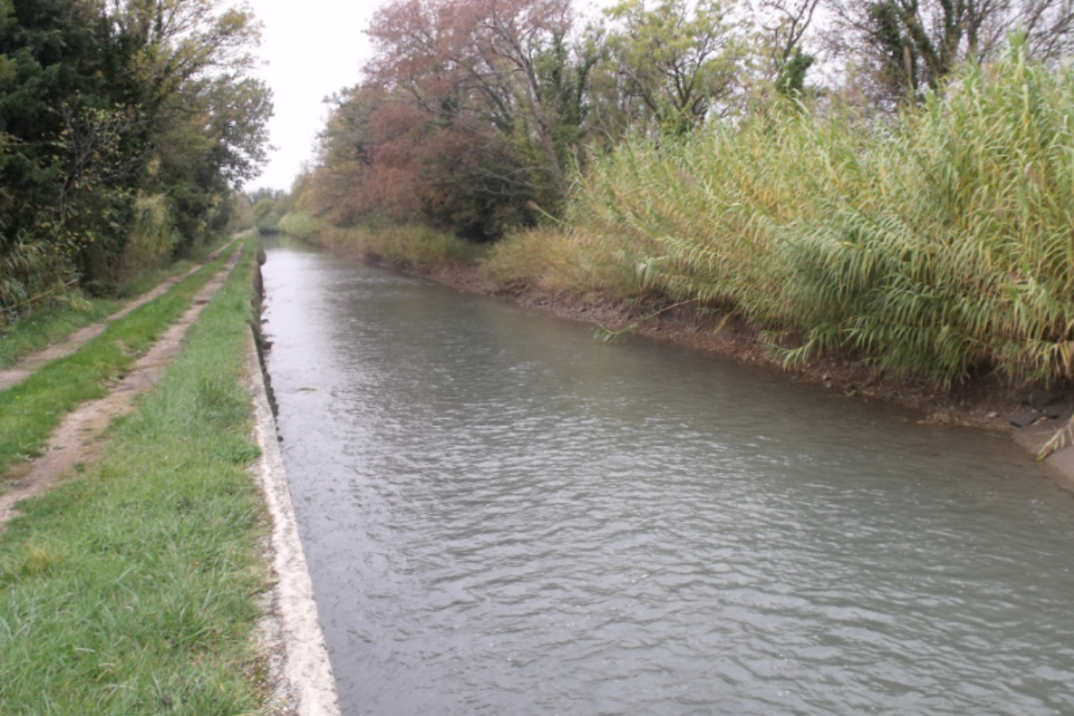 Three Friends Jumps in Canal