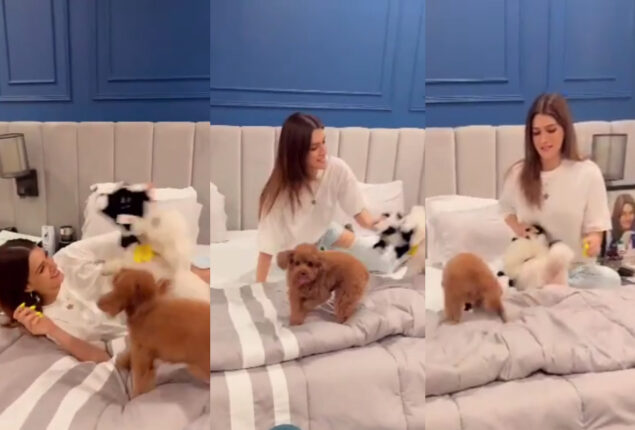 Kriti Sanon can’t stop showing her affection for her dogs; See Video
