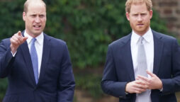 Prince William to rekindle his relationship with Prince Harry