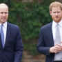 Prince William to rekindle his relationship with Prince Harry