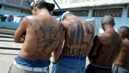 MS-13 gang