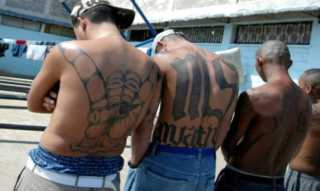 5 MS-13 gang members found guilty of savage murder