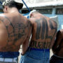 5 MS-13 gang members found guilty of savage murder