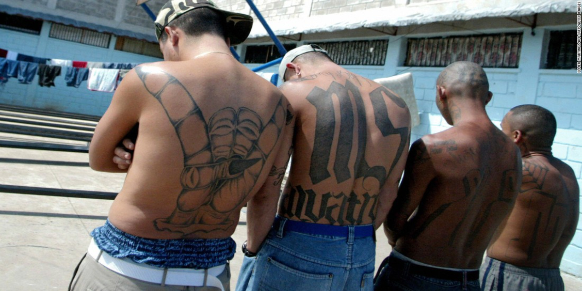 MS-13 gang