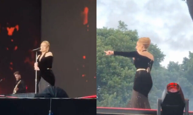 Adele stops Hyde Park gig to call for security after concern for struggling crowd member
