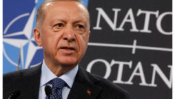 Turkey presses Nato aspirants Sweden and Finland on extradition of Kurdish militants