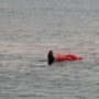 Huge sharks have been spotted in the US while frightened onlookers watch a predator in bloodied water.