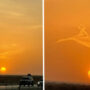 Saudi man stunned the internet with cloud shaped picture of a ‘child riding a bird,’ now called as  ‘Pareidolia’    
