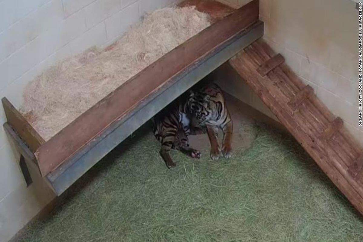 Oklahoma City Zoo