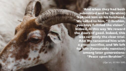 Eid al-Adha 2022: History & importance of Bakrid’s animal sacrifice