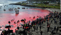 Faroe Island
