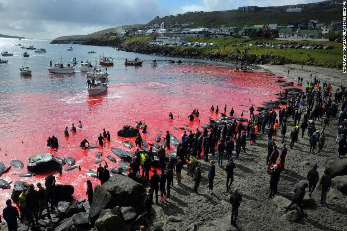 Faroe Island