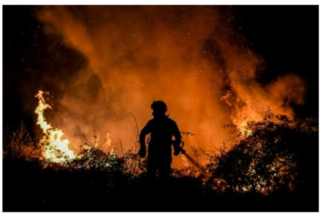 Forest fires rage in scorching southwest Europe
