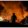 Forest fires rage in scorching southwest Europe