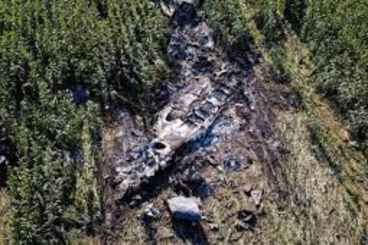 Ukrainian cargo crash