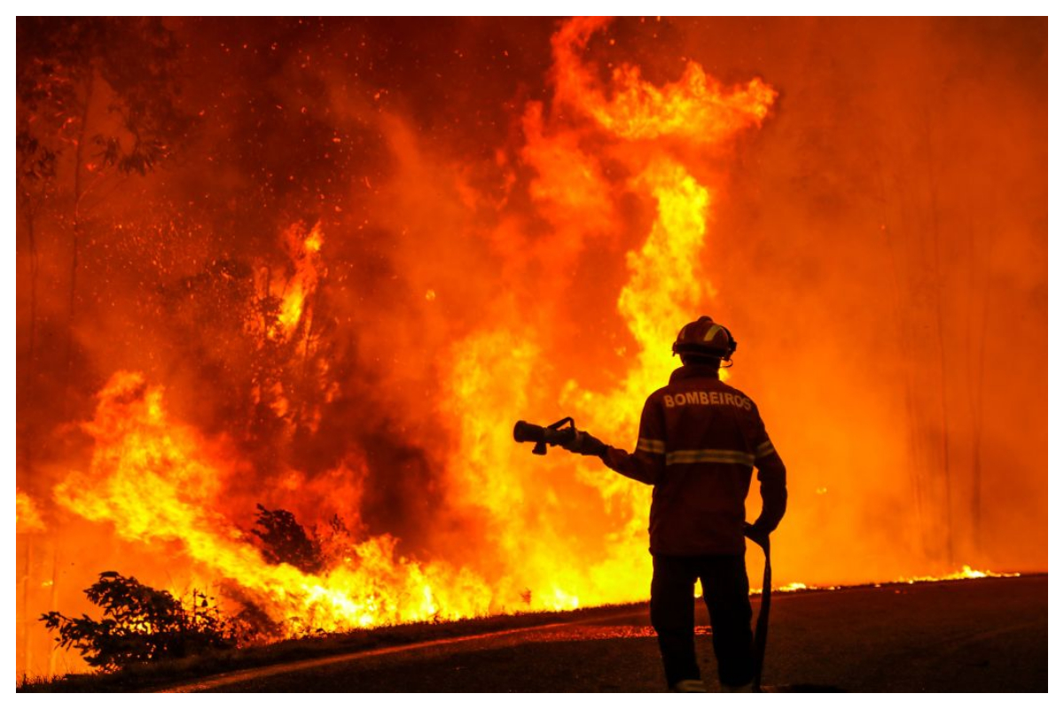 Wildfires