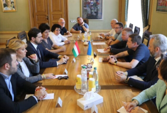 Lviv region chief: About 300 injured Ukrainian youngsters can be treated in Hungary