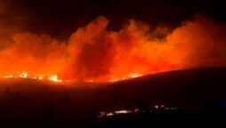 Wildfire raging near Athens damages homes and forces hospital evacuation