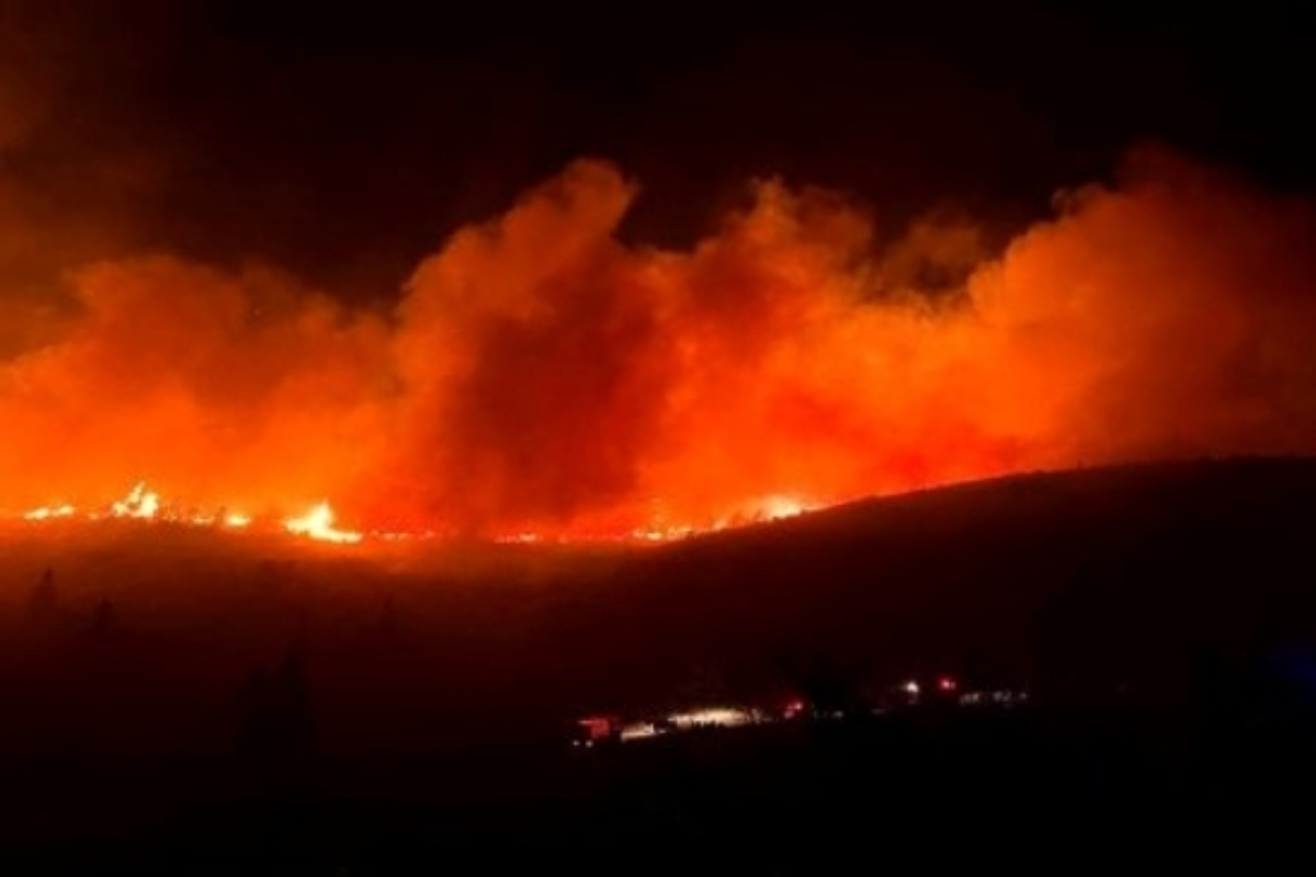 Wildfire