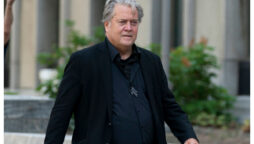 Steve Bannon