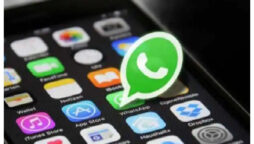WhatsApp status