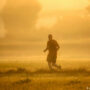 heatwaves will threaten China, as the almanack’s “great heat” day approaches