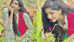 Mawra Hocane