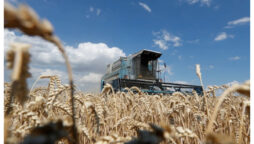 Ukraine grain exports may resume ‘within days.’