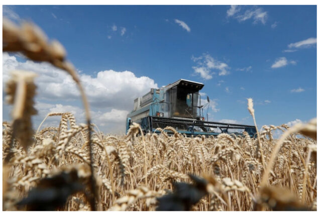 Ukraine grain exports may resume ‘within days.’