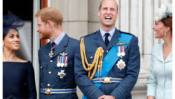 Prince Harry, Meghan Markle stole the limelight’ from William, Kate