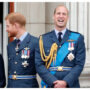 Prince Harry, Meghan Markle stole the limelight’ from William, Kate