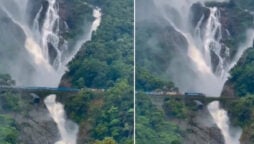 Viral Video: Goa’s Dudhsagar Falls look stunning