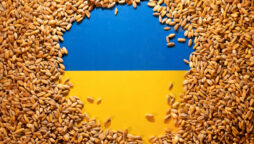 Ukraine, Russia sign deal to reopen grain export ports as war rages on