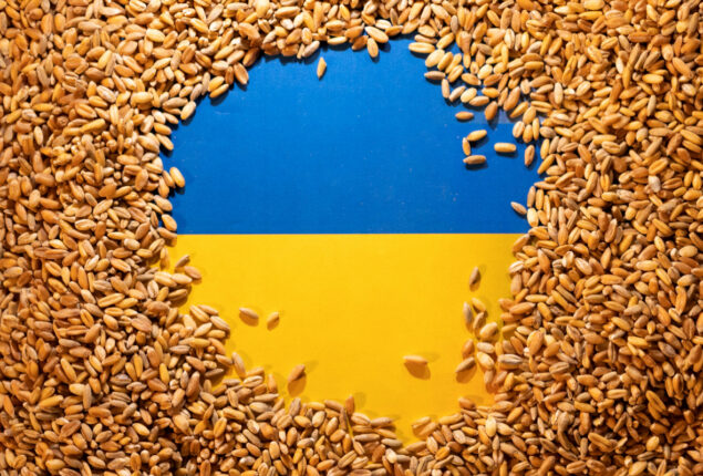 Ukraine, Russia sign deal to reopen grain export ports as war rages on