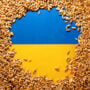 Ukraine, Russia sign deal to reopen grain export ports as war rages on