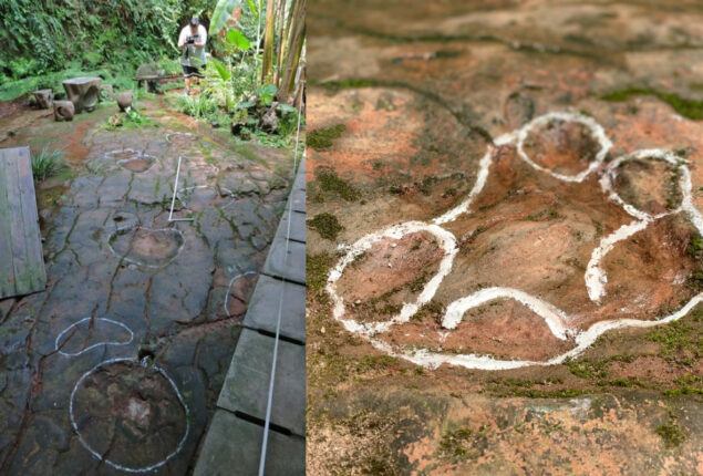 Dinosaur footprints