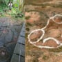 100 million-year-old Dinosaur footprints found in China restaurant