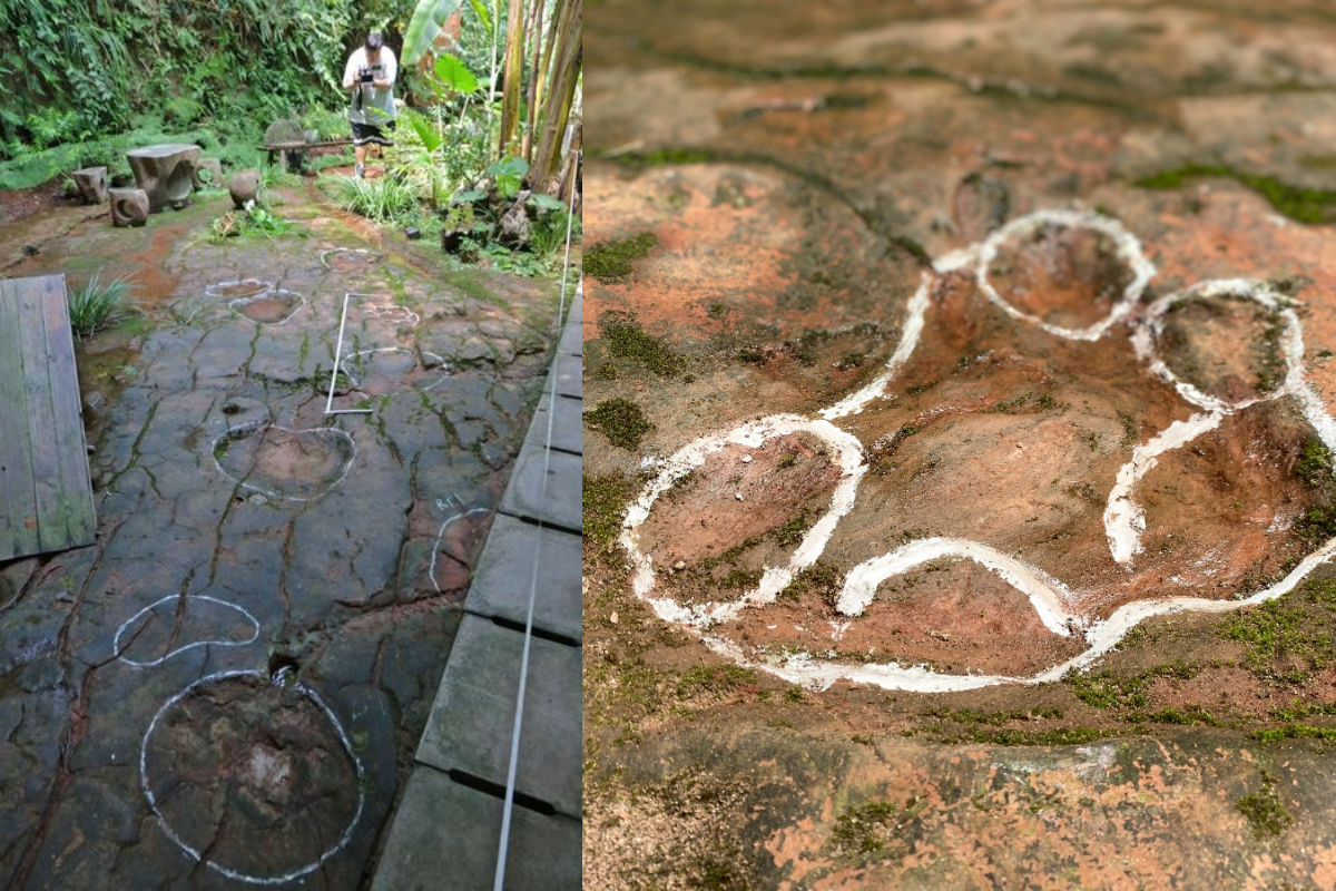 Dinosaur footprints