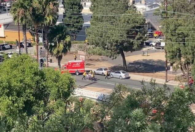 los angeles park