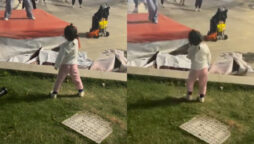 Viral Video: Adorable girl copies adults dance steps