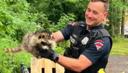 new york police officer