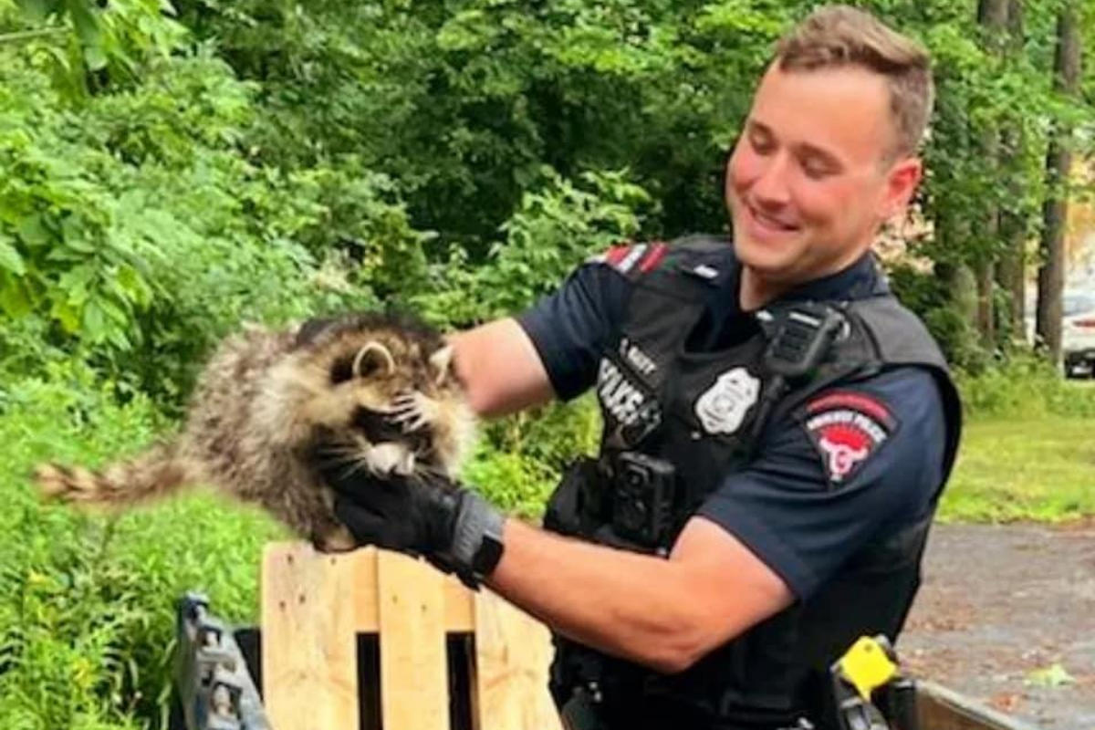 new york police officer
