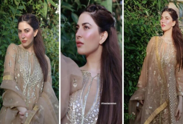 Naimal Khawar Abbasi shines in a regal ensemble
