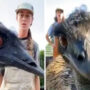 Emu becomes viral for interrupting his owner’s videos