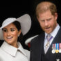 Meghan Markle ‘moved at the speed of lightening’ to marry Prince Harry